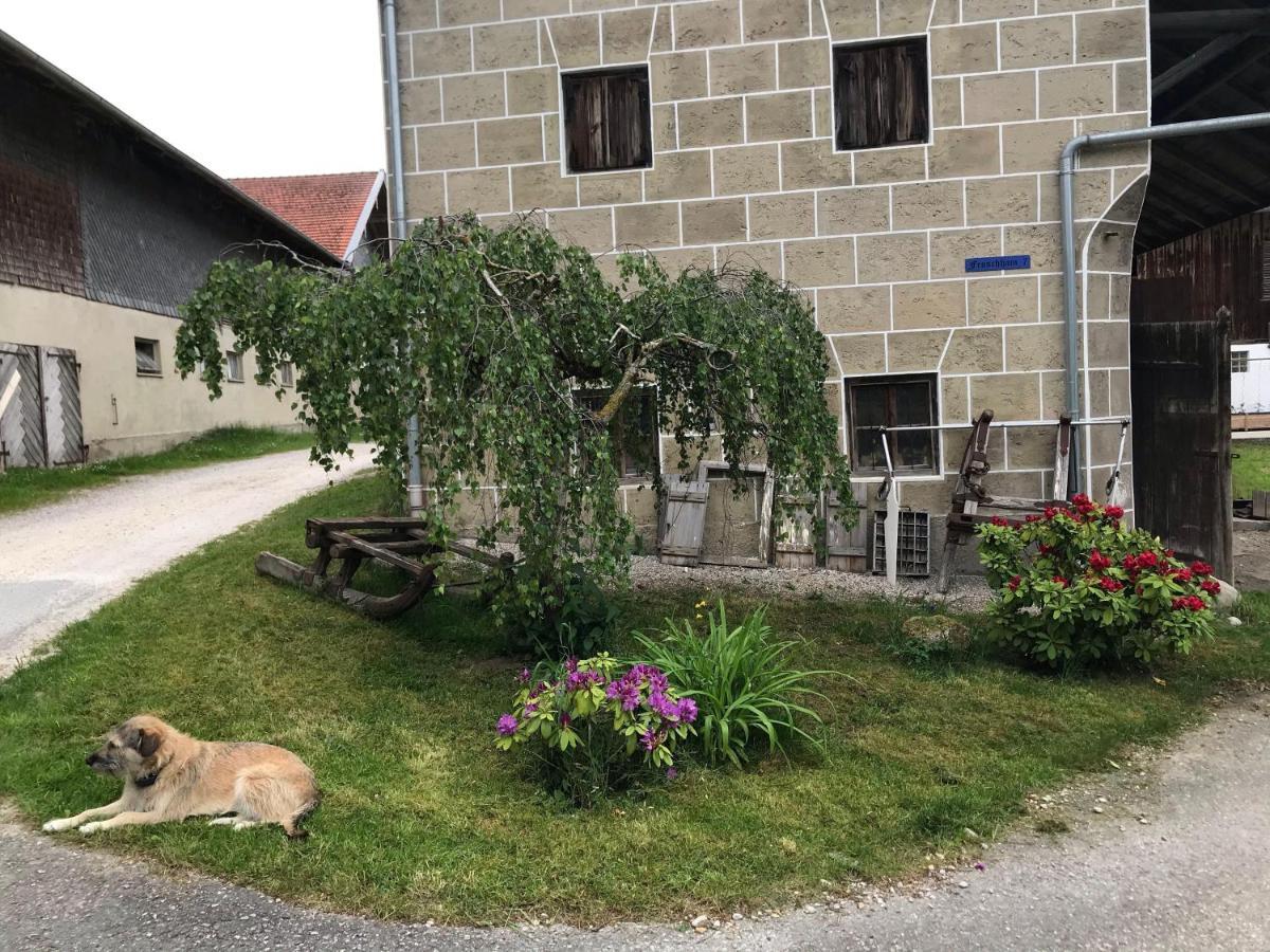 Pferdehof-Dietzsch Tittmoning Eksteriør bilde